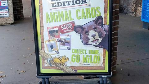 Winn-Dixie 'Animal Cards' Stanchion Sign