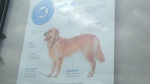 Petco '7-Point Pet Care Check' Window Poster