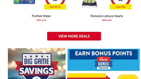 Winn-Dixie 'Big Game Savings' Email Ad
