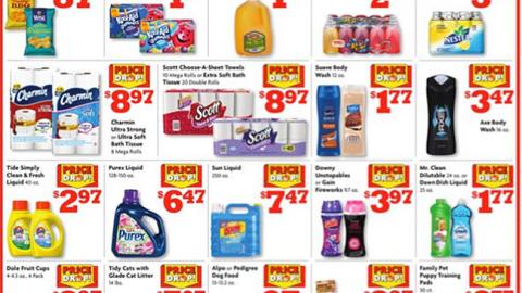 Family Dollar 'Big Price Drop Event' Feature