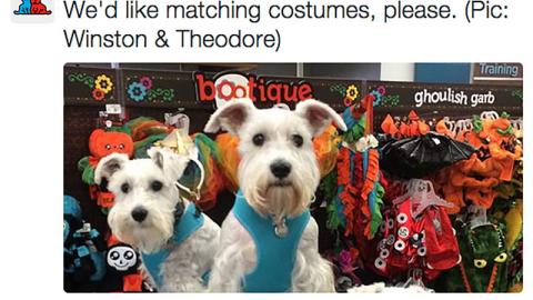 Petco 'Matching Costumes' Tweet