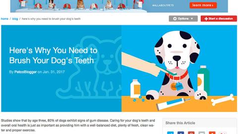 Petco 'Brush Your Dog's Teeth' Blog Post