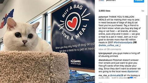 PetSmart 'Thank You' Instagram Update
