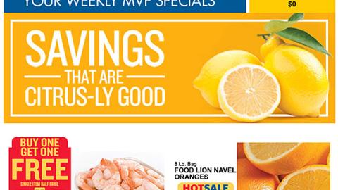 Food Lion 'Citrus-ly Good' Email Ad