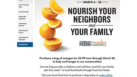 Food Lion 'Orange Bag' Web Page