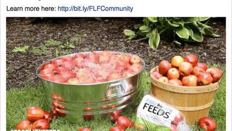 Food Lion 'Bobbing for Apples' Facebook Update