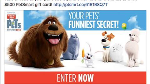 PetSmart 'Your Pets' Funniest Secret' Facebook Update