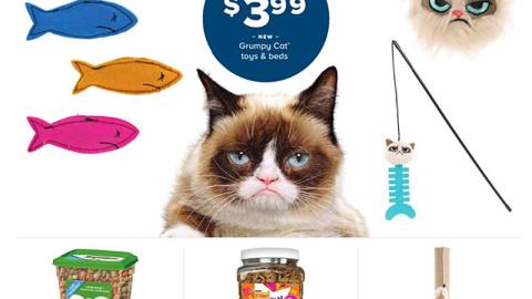 PetSmart Grumpy Cat Feature