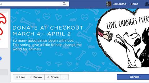Petco 'Love Changes Everything' Facebook Cover