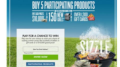 Food Lion 'Make Your Summer Sizzle' Web Page