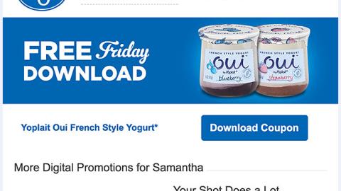 Kroger 'One Shot, One Meal' Email Ad