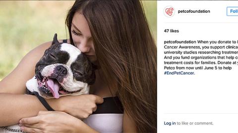 Petco Foundation 'Pet Cancer Awareness' Instagram Update