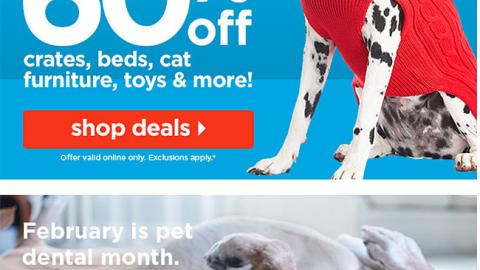 Petco 'Pet Dental Month' Email Ad