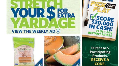 Food Lion 'Pick Your Play' Email Ad