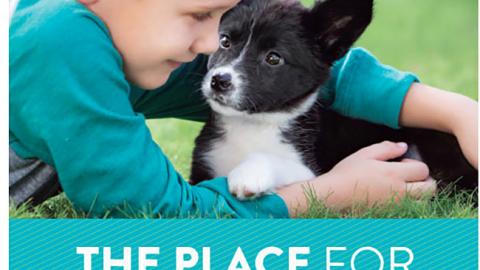 PetSmart 'All Things Puppy' Email 