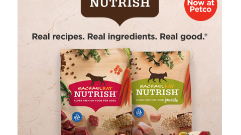 Petco Rachael Ray Nutrish 'Has Arrived' Email