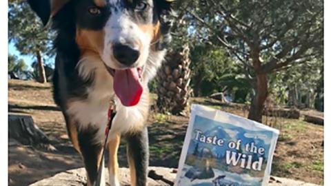 Petco Taste of the Wild 'We're Wild About This News' Facebook Update