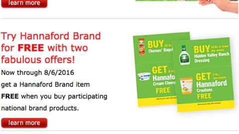 Hannaford P&G 'Support Team USA' Email Ad