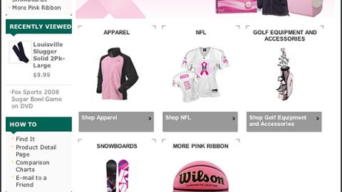 Dick's 'Sport a Pink Ribbon' Online Ad