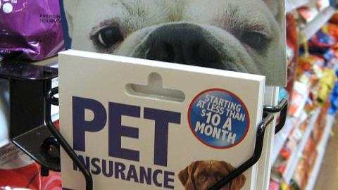 Kroger 'Pet Insurance' Take-One Dispenser