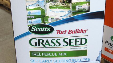 Scotts Grass Seed Quarter Pallet