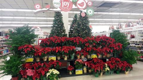 Meijer Holiday Spectacular