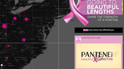 Pantene 'Going to Beautiful Lengths' Website