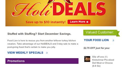 Food Lion 'Holideals' Email Ad