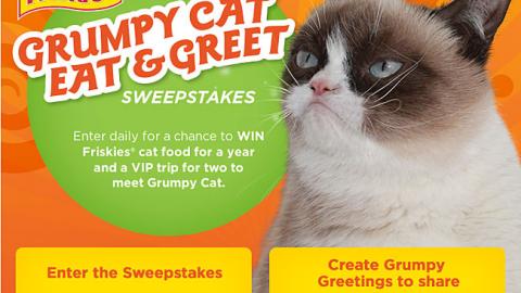 PetSmart Friskies 'Grumpy Cat' Facebook Applet