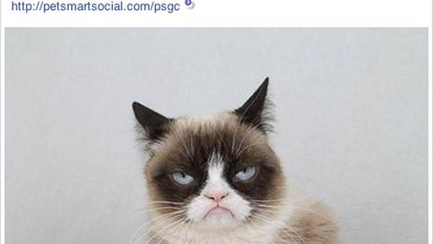 PetSmart Friskies 'Grumpy Cat' Facebook Update