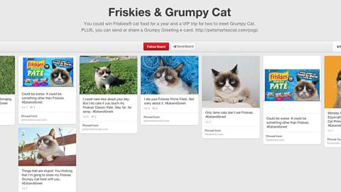 Friskies PetSmart 'Grumpy Cat' Pinterest Board
